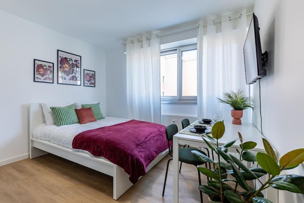 Apartment Douillet /centre Straßburg